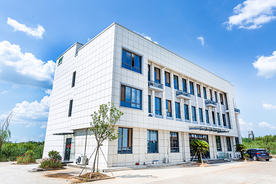 Cuideachta Real Picture