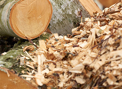 Ronsun Iompórtáil & Easpórtáil Co, Teo.