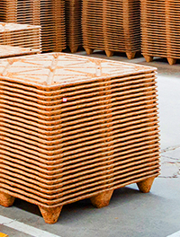 Ronsun Iompórtáil & Easpórtáil Co, Teo.