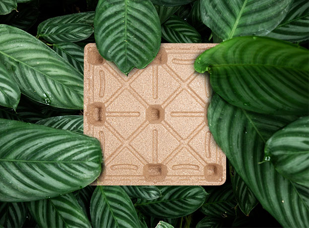 Ronsun Iompórtáil & Easpórtáil Co, Teo.